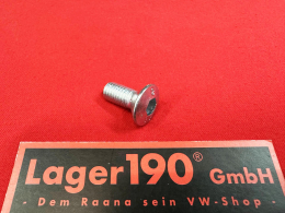 VW Bus T2 08/67-07/79 Schraube fr Trscharnier Montage/ Schlofnger (8050-101)