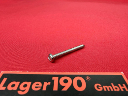 Schraube fr Klammer Instrumentengehuse VW Bus T2 68-79 (8760-3938)