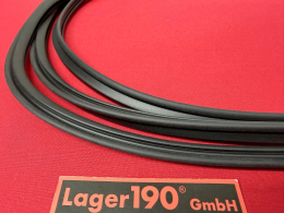 Dichtung Heckscheibe in Heckklappe VW Bus T4 (45-1505)