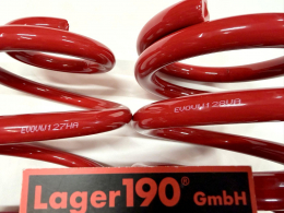 Tieferlegungsfedern 60/45mm VW Bus T3 (1385-300)