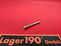 Schraube fr Klammer Instrumentengehuse VW Bus T2 68-79 (8760-3938)